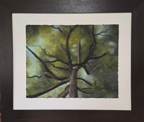 Click to view detail for Tall and Beautiful $2400